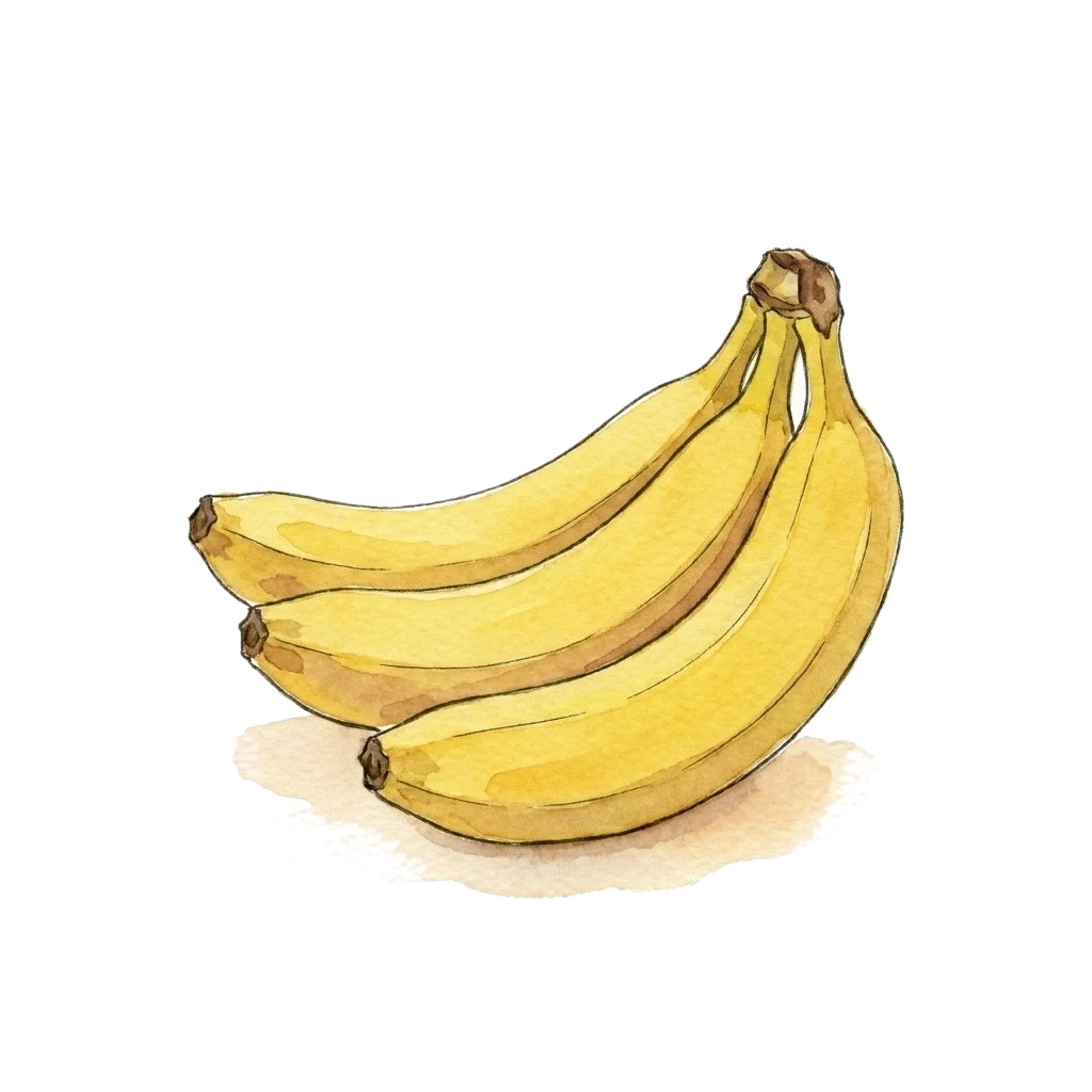 Watercolor illustration of banana