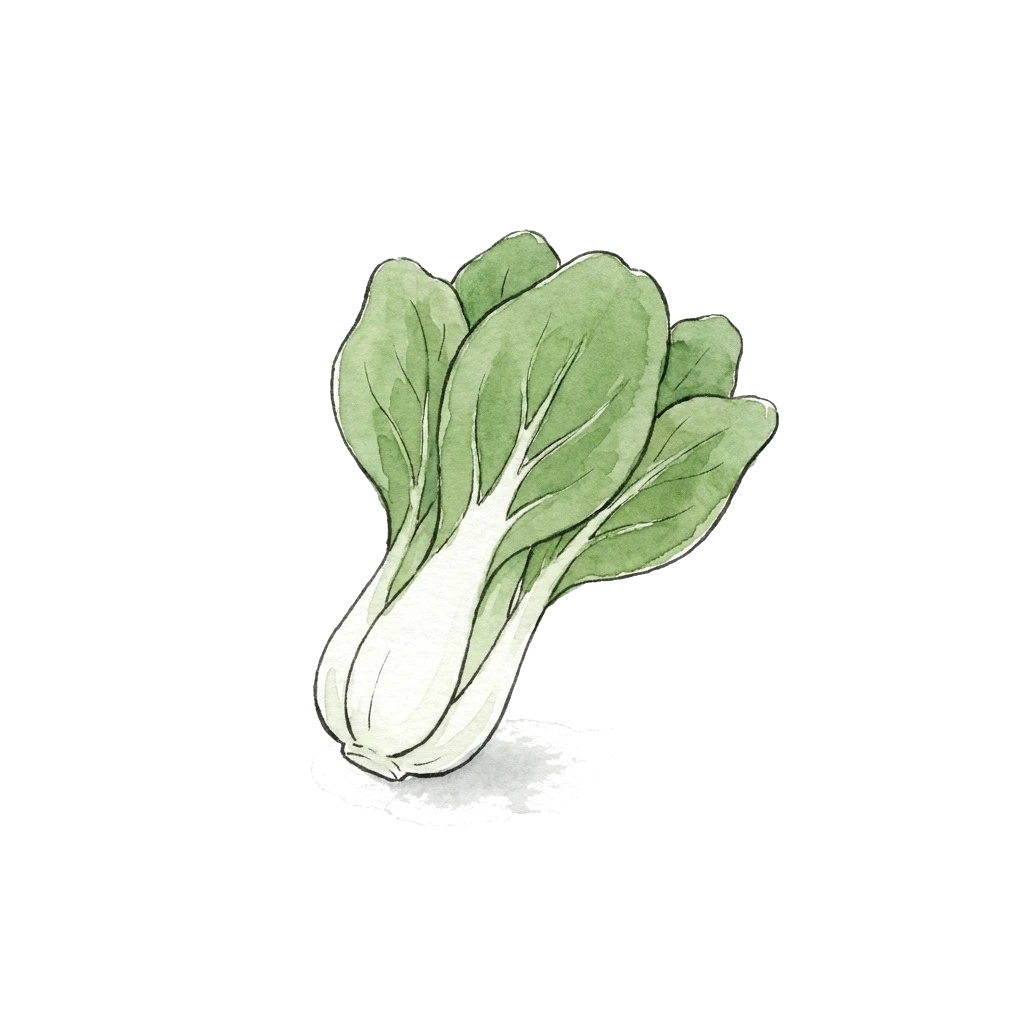 Watercolor illustration of bok choy