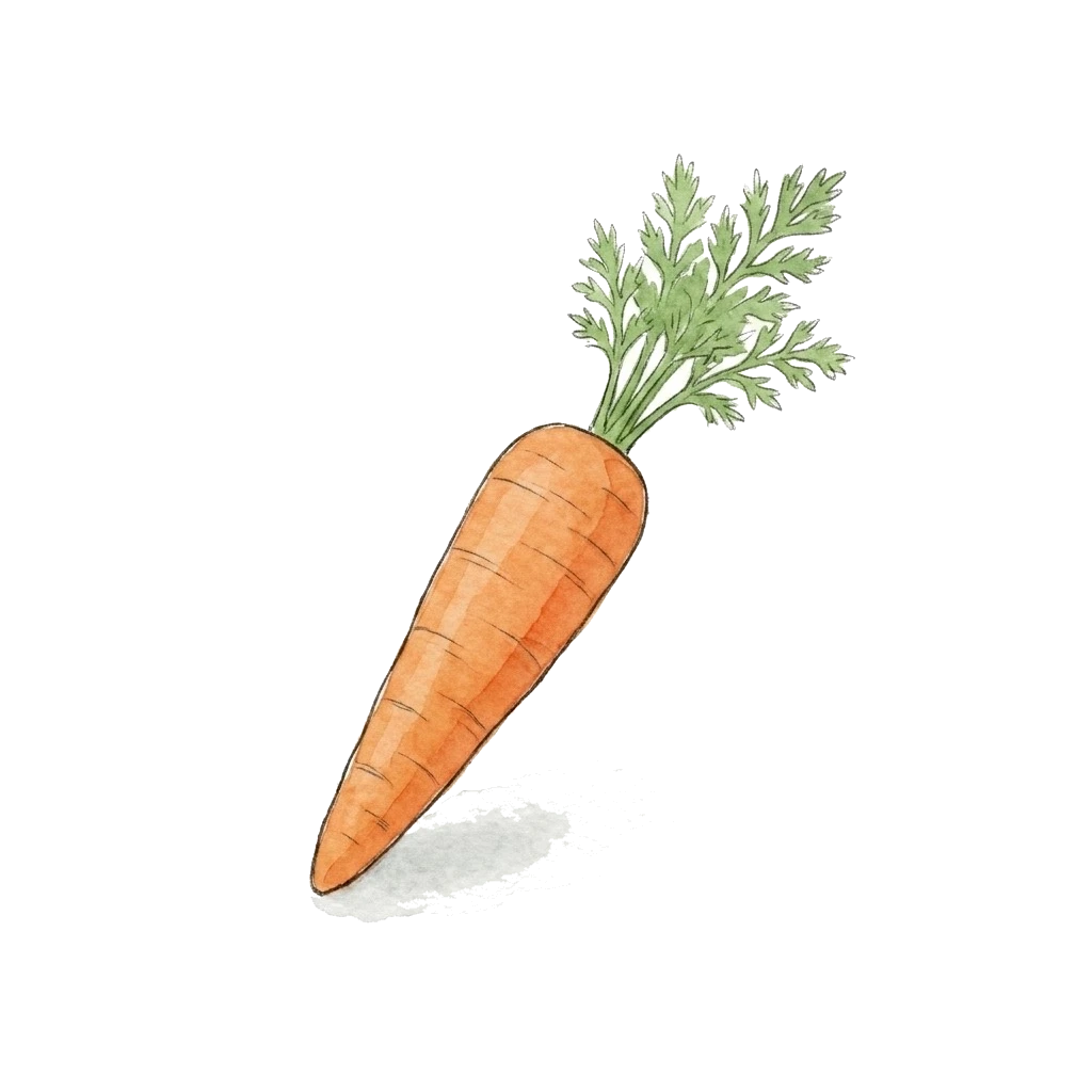 Watercolor illustration of carrot