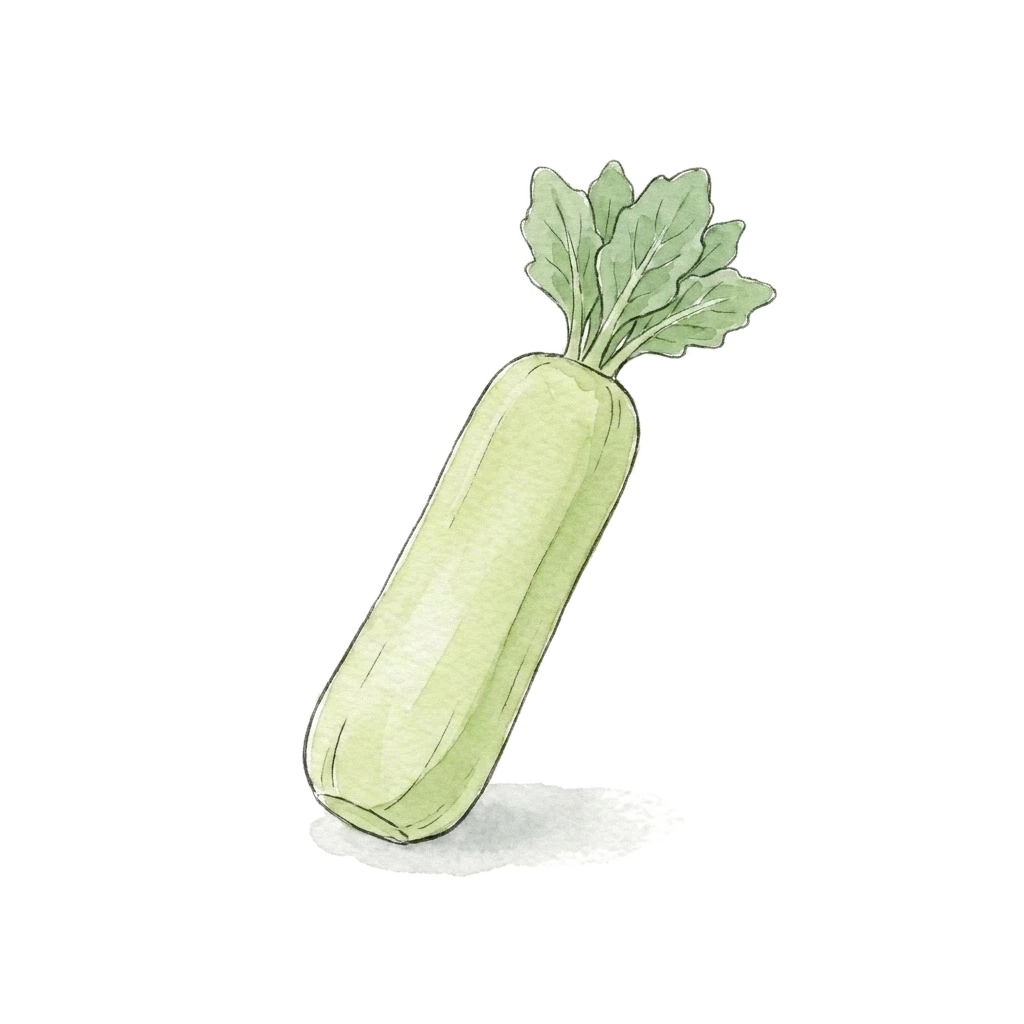Watercolor illustration of celtuce