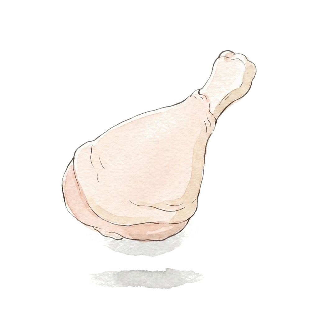Watercolor illustration of chicken leg