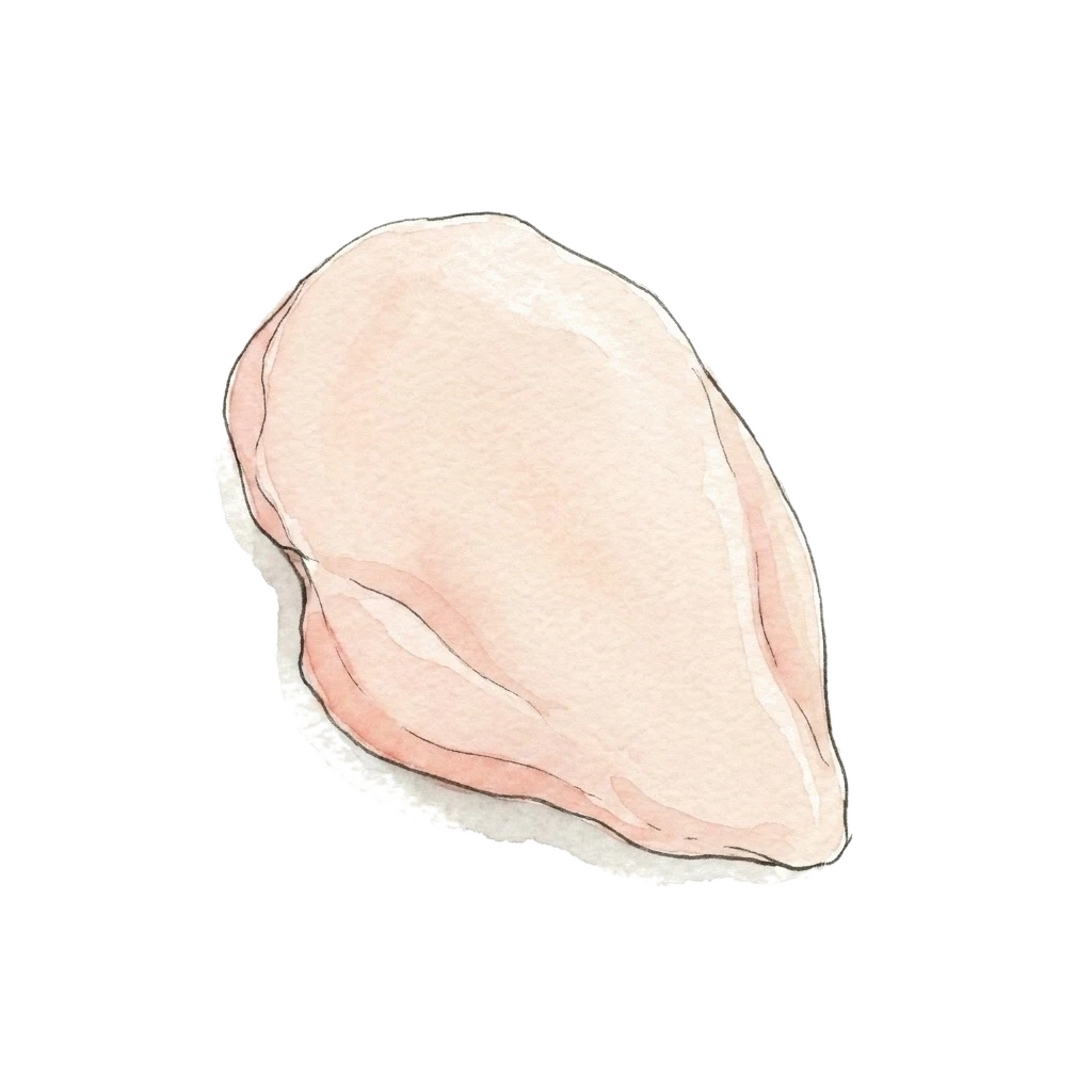 Watercolor illustration of chicken