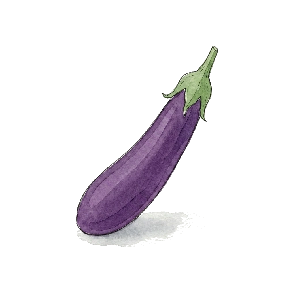 Watercolor illustration of eggplant