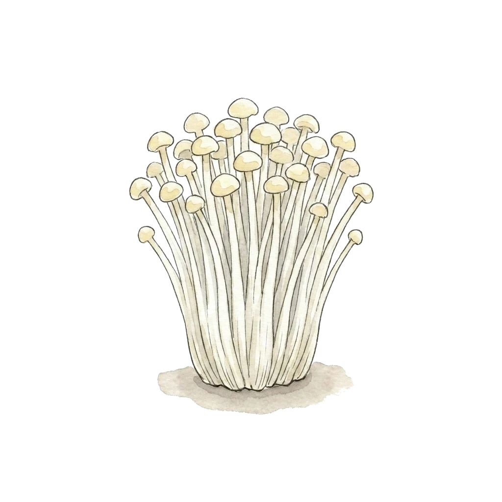Watercolor illustration of enoki