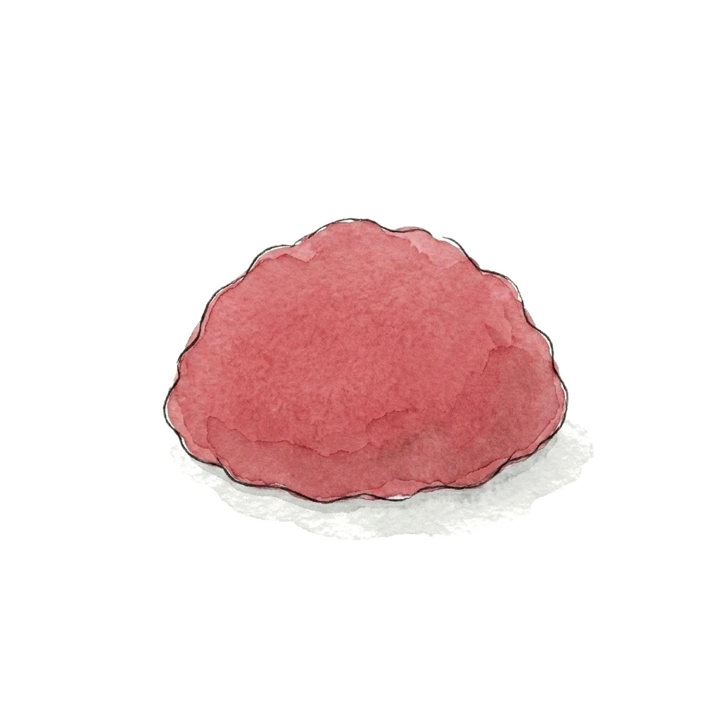 Watercolor illustration of ground beef