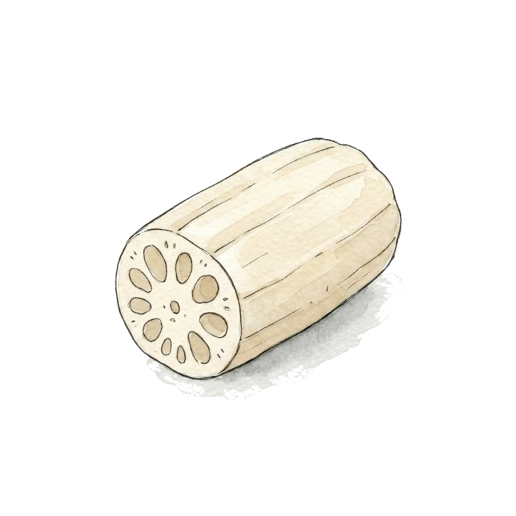 Watercolor illustration of lotus root