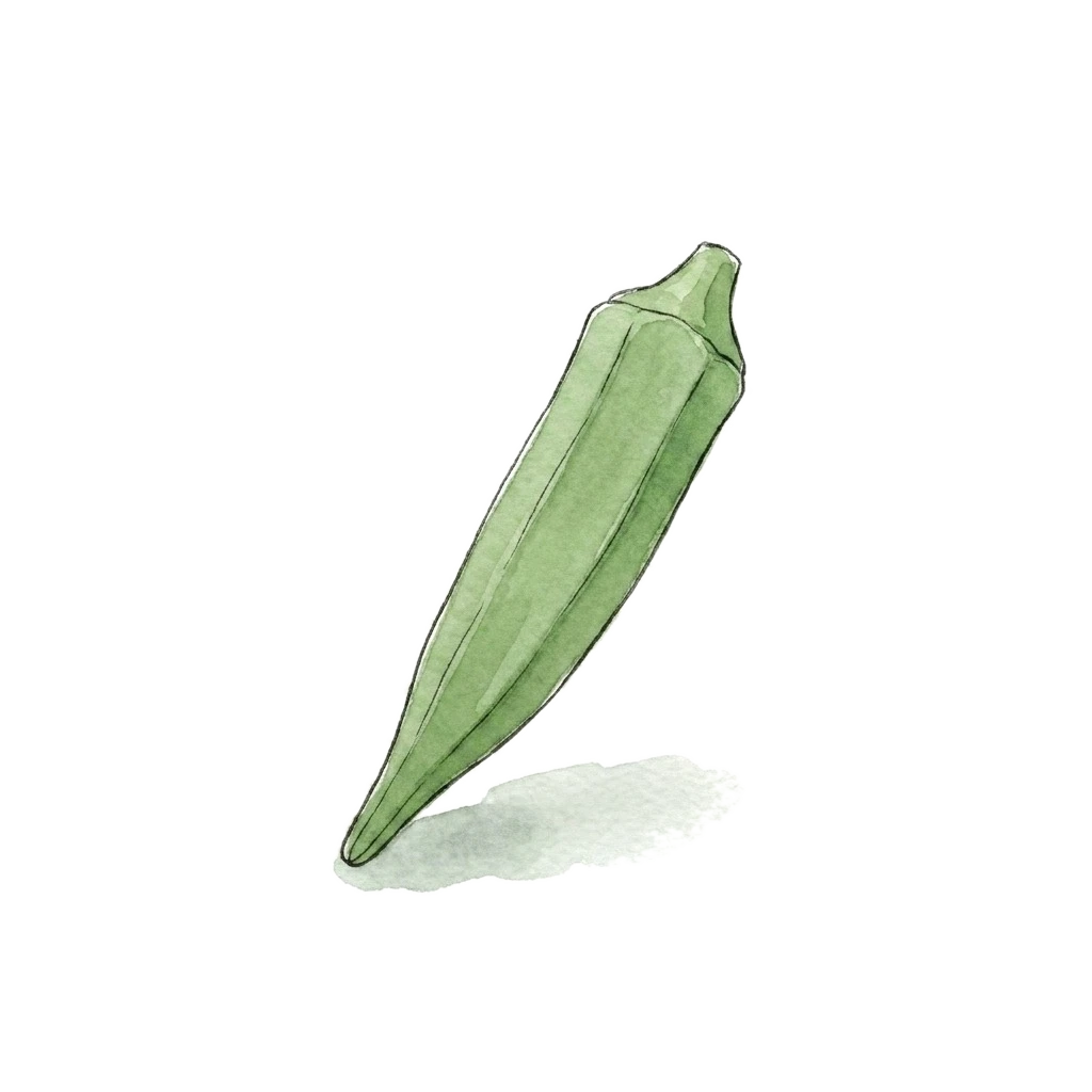 Watercolor illustration of okra