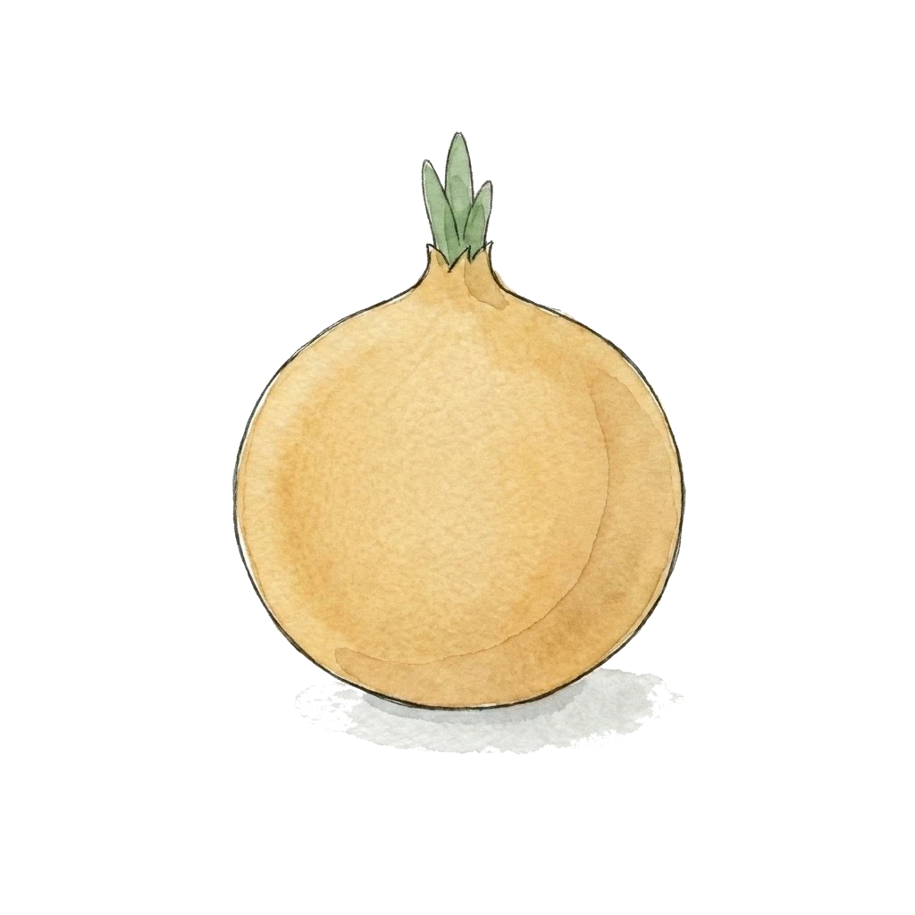 Watercolor illustration of onion