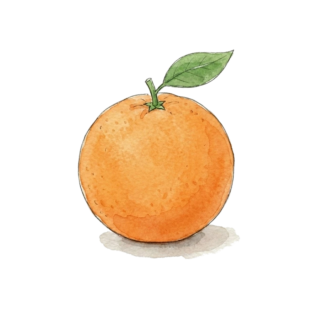 Watercolor illustration of orange