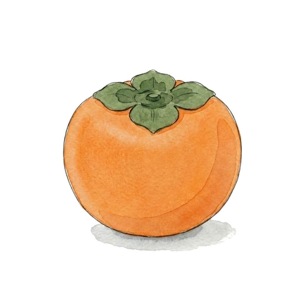 Watercolor illustration of persimmon
