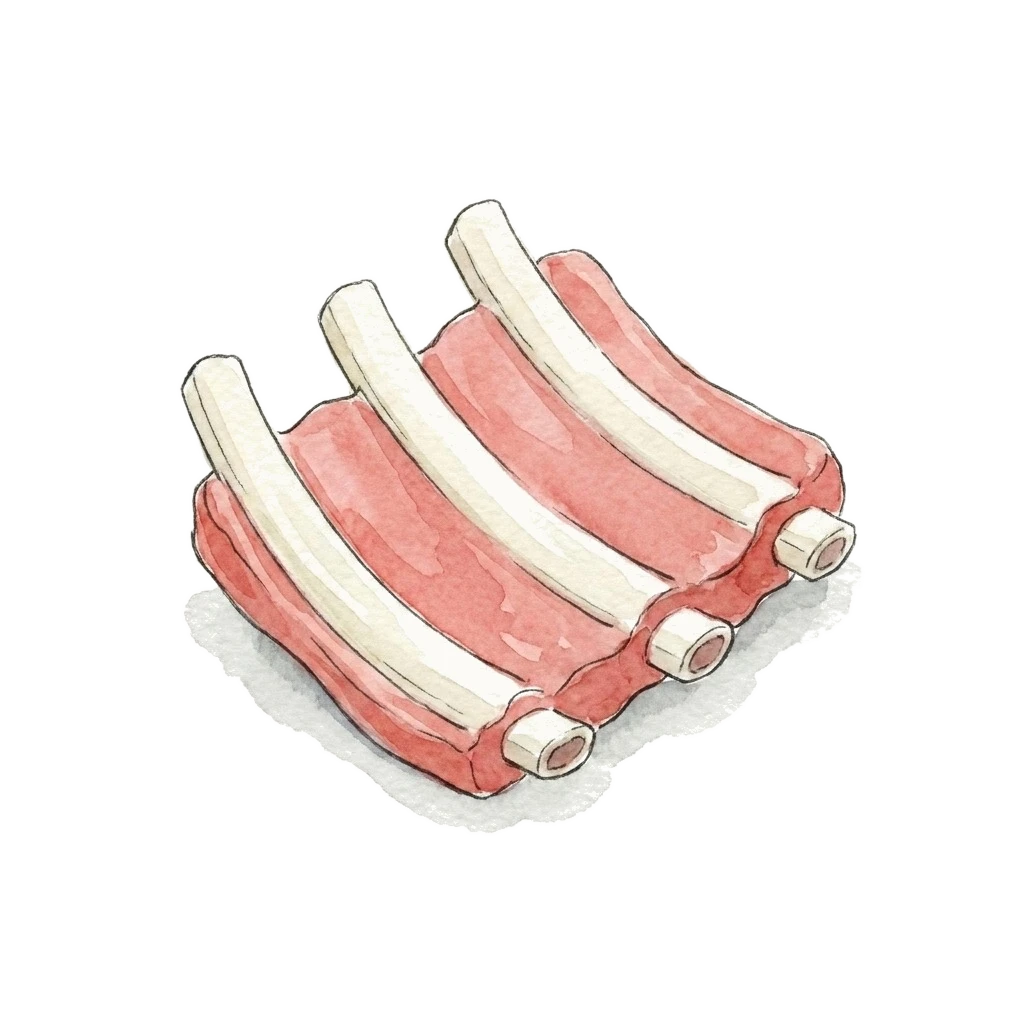 Watercolor illustration of pork ribs