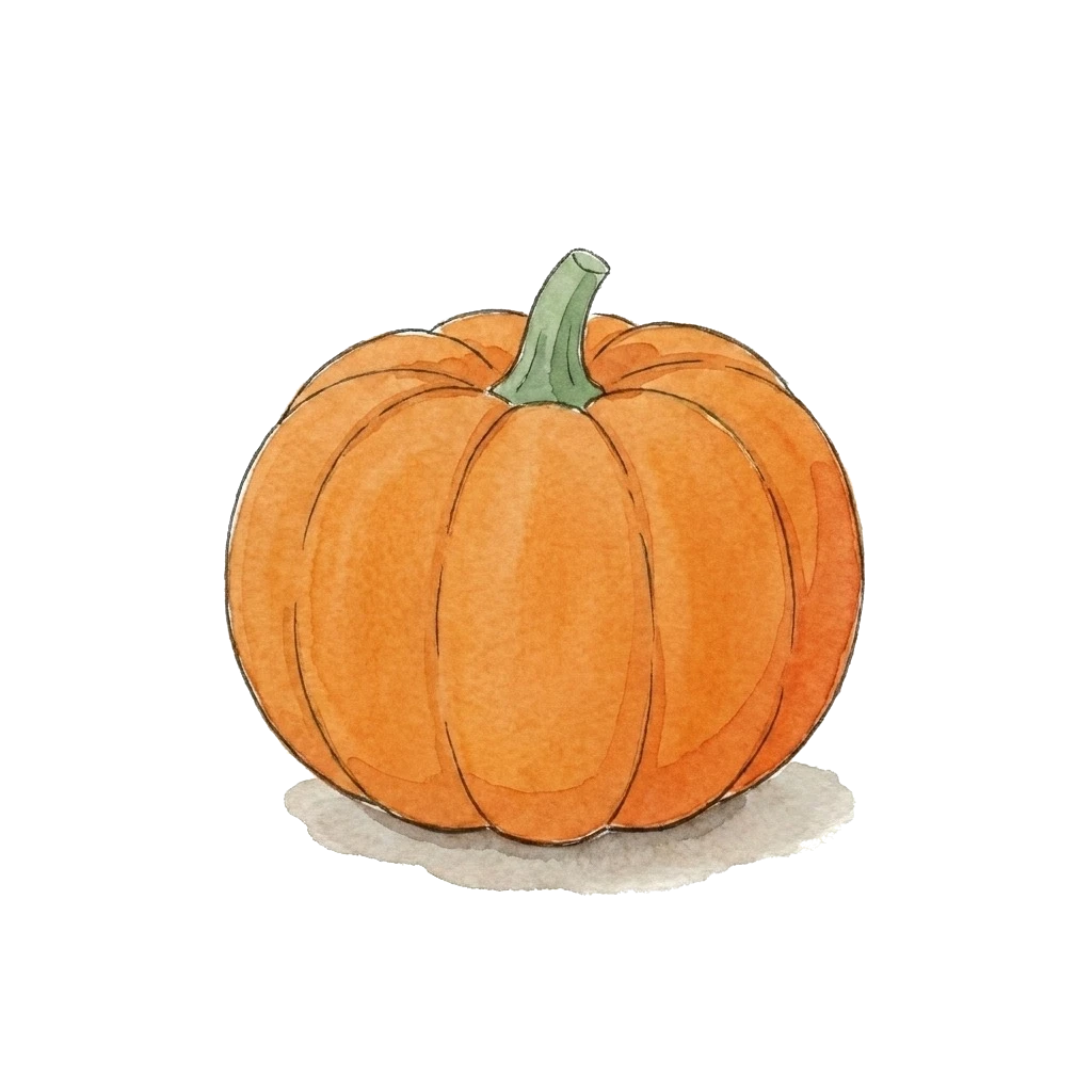 Watercolor illustration of pumpkin