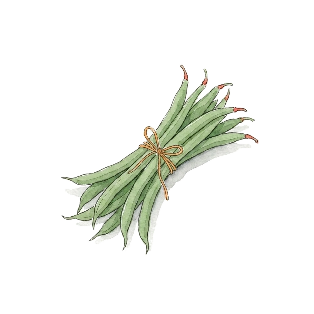 Watercolor illustration of string bean