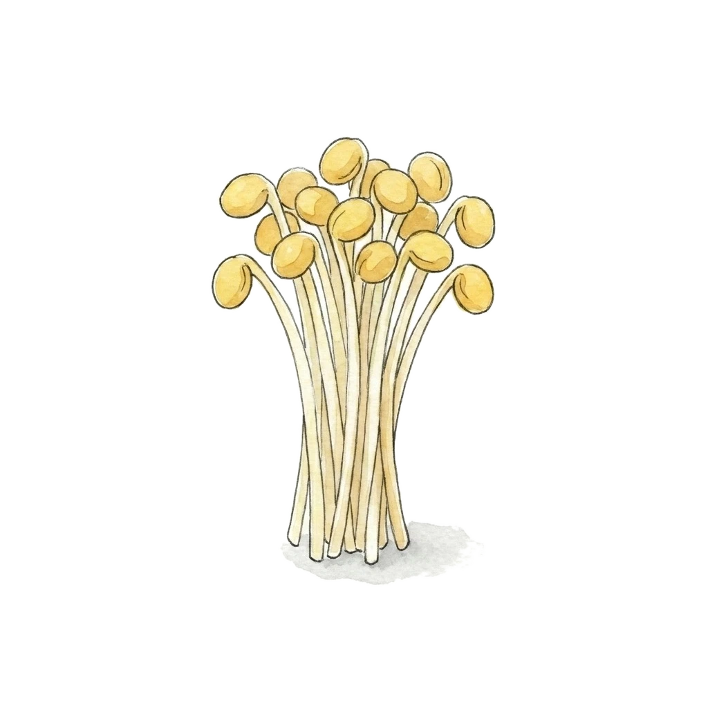 Watercolor illustration of soybean sprout